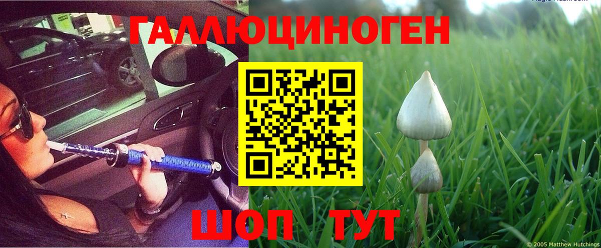 закладки  Псилоцибиновые грибы Psilocybe  Вход с VPN  Холмск  Галлюциногенные грибы ЛСД 