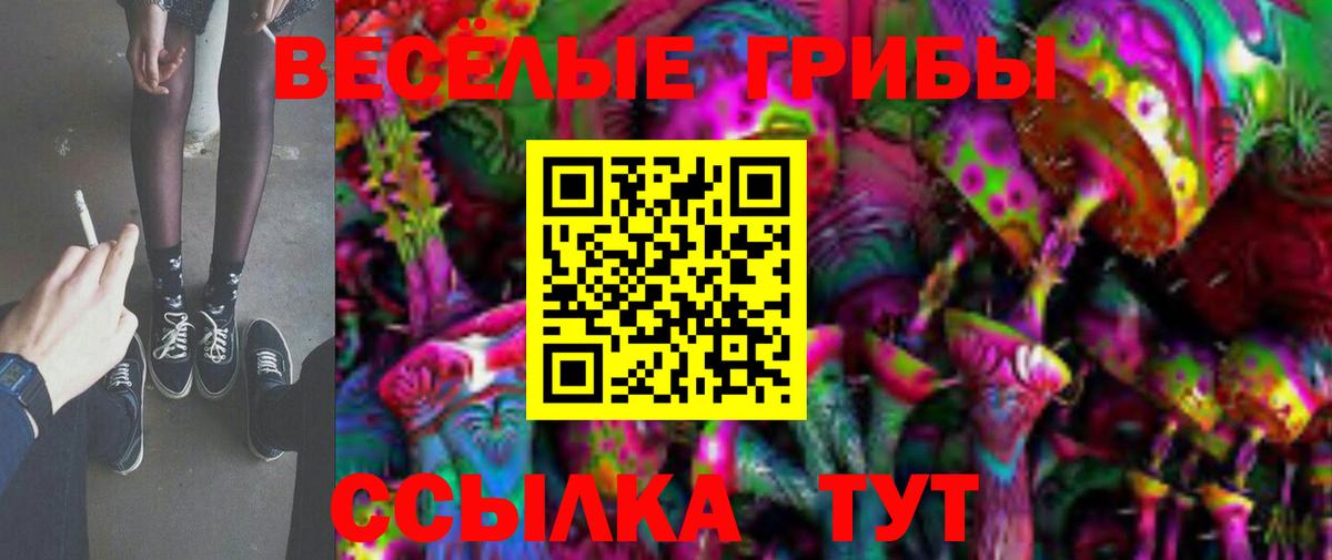 Галлюциногенные грибы Psilocybine cubensis Холмск